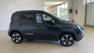 Fiat Panda Pandina 1.0 Hybrid 70cv Cross Km0 Dark Green